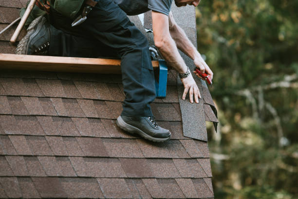 Best Roof Gutter Cleaning  in Fair Lakes, VA